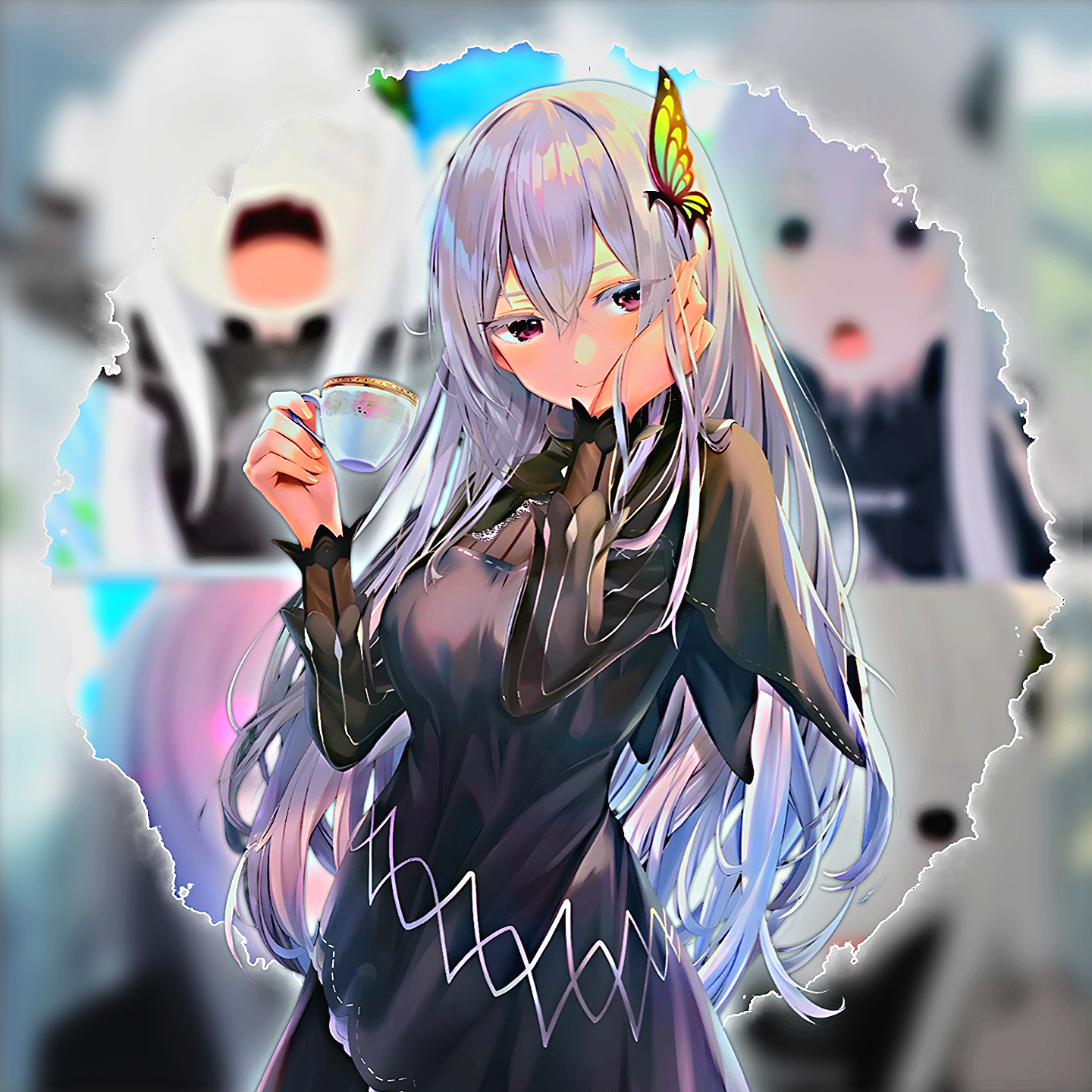 Echidna